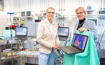 Military research at the MHH: System for the preservation of amputated limbs in progress