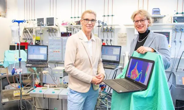 Military research at the MHH: System for the preservation of amputated limbs in progress