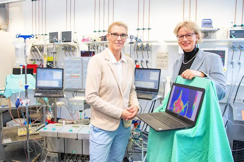 Military research at the MHH: System for the preservation of amputated limbs in progress