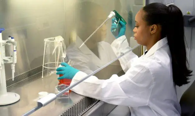 Research team develops sustainable bioplastic for medical devices