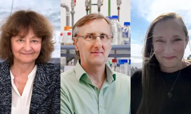 CHAPEROME project receives 10 million euros for research into protein regulation