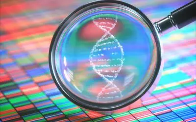 Single gene can cause mental illness