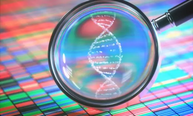 Single gene can cause mental illness