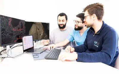 Molecular signatures discovered for better diagnosis of liver transplant rejections