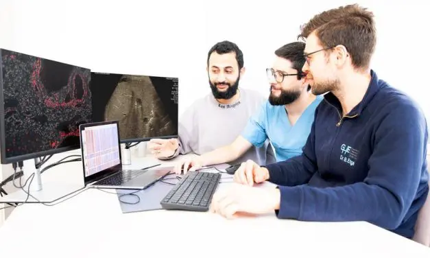 Molecular signatures discovered for better diagnosis of liver transplant rejections