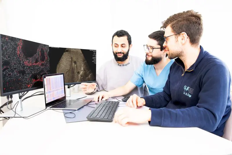 Molecular signatures discovered for better diagnosis of liver transplant rejections