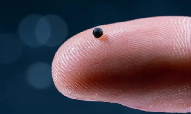 ETH Zurich develops microrobot for targeted drug delivery