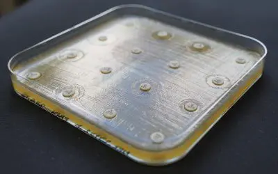 Oldenburg AI model “CarbaDetector” revolutionizes the detection of antibiotic resistance