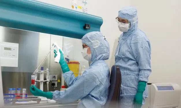 UKHD receives approval for its own CAR-T cell product against CLL