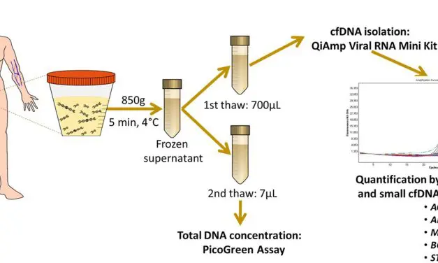 Groundbreaking urine test could revolutionize bladder cancer diagnosis