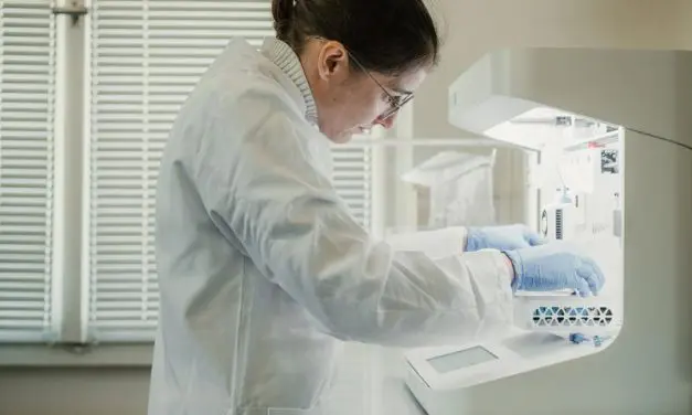 Charité: Research year 2025 with top achievements