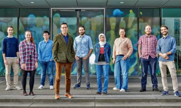 Dresden study reveals new role of MCL1 in cancer cells