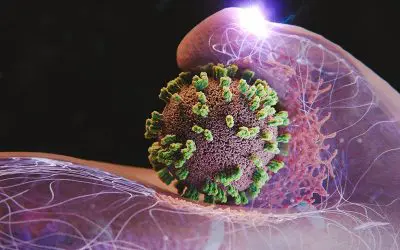 New microscopy method revealed: Cells actively promote flu virus infection