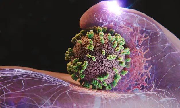 New microscopy method revealed: Cells actively promote flu virus infection