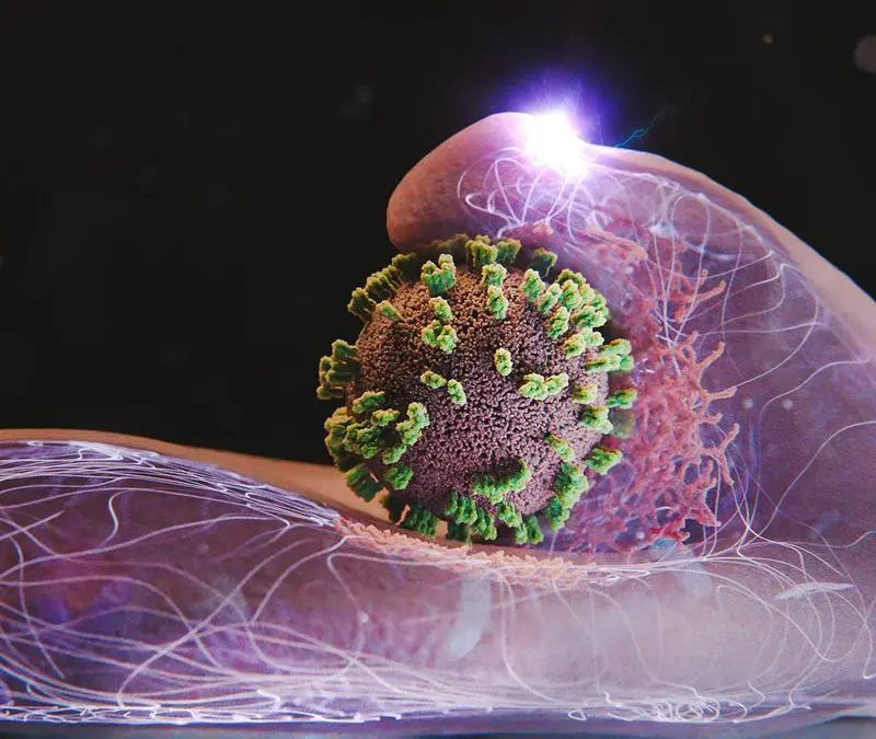 New microscopy method revealed: Cells actively promote flu virus infection