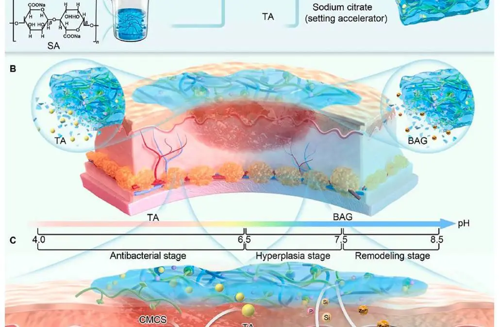 Intelligent hydrogel revolutionizes wound care