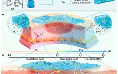 Intelligent hydrogel revolutionizes wound care