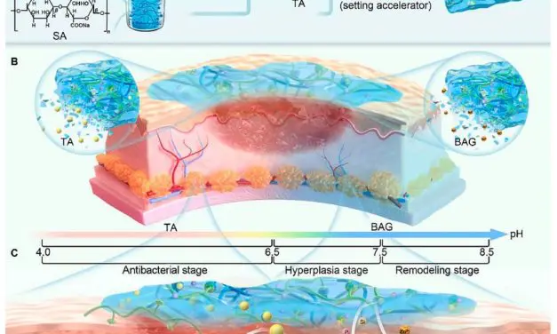Intelligent hydrogel revolutionizes wound care