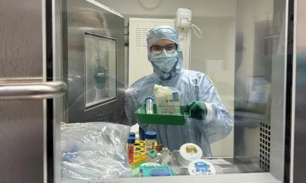 First cartilage transplant from Würzburg on the way to implantation