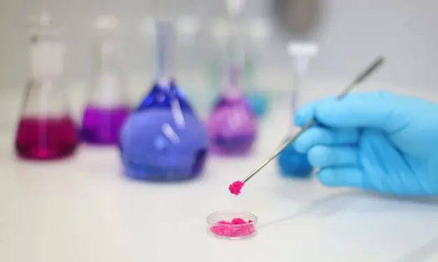 New environmentally friendly process converts lignin into valuable amides