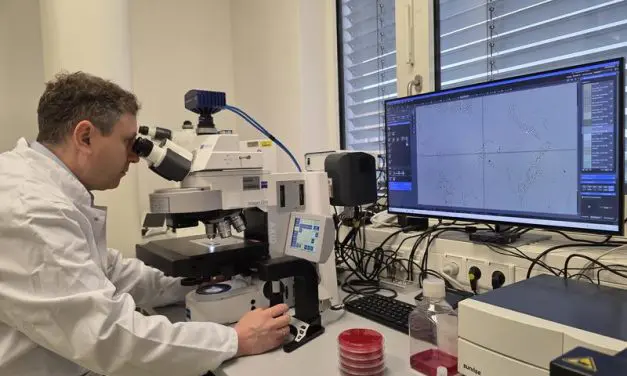 New microscope accelerates diagnosis of infections