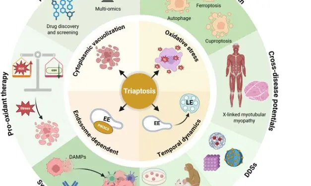 Prostate cancer: Triaptosis could revolutionize cancer treatment