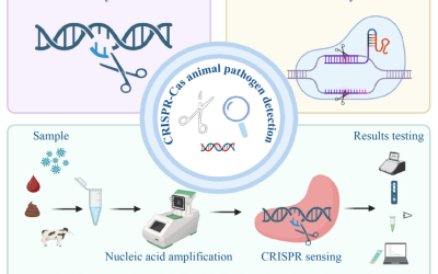 Zoonoses: CRISPR-Cas systems revolutionize pathogen detection