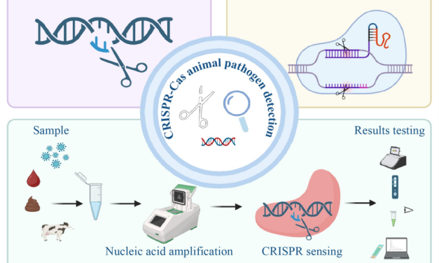 Zoonoses: CRISPR-Cas systems revolutionize pathogen detection