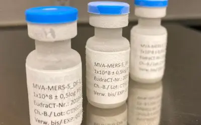 Vaccine candidate against MERS shows long-lasting immune response