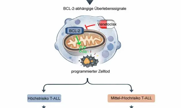 Hope for T-cell leukemia in childhood
