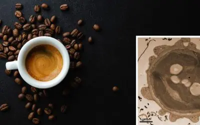 Electron microscopy: Espresso as an environmentally friendly alternative to uranyl acetate