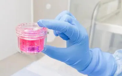 DGFG reports record number of tissue donations