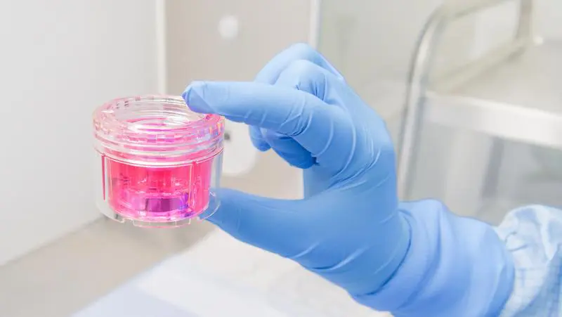 DGFG reports record number of tissue donations