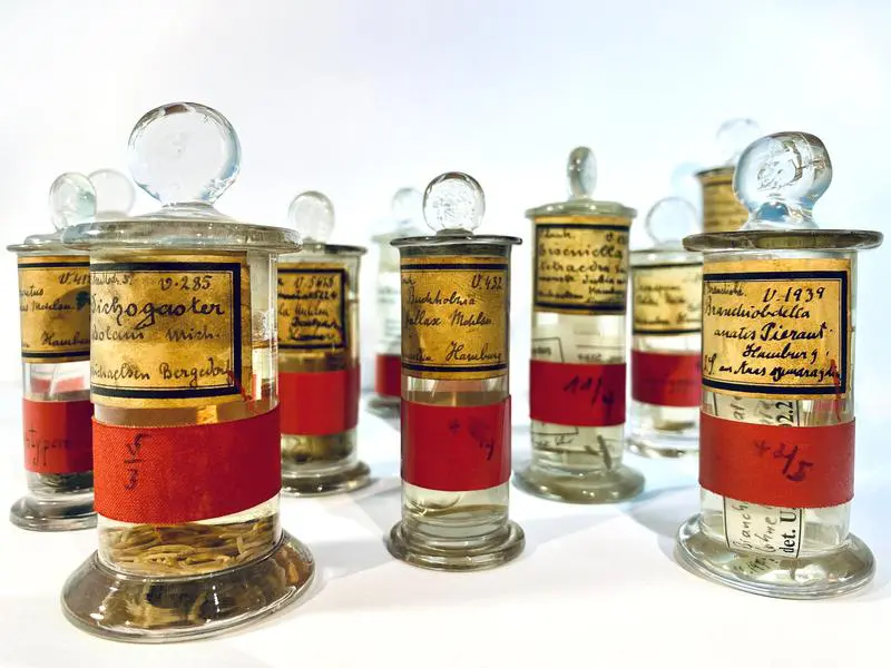 Type genomics: International researchers call for sequencing of reference specimens in museum collections