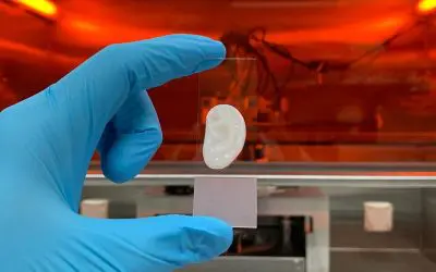 ETH researchers produce elastic ear cartilage in the laboratory