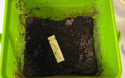 HTW Dresden develops biocompatible, compostable materials for point-of-care diagnostics