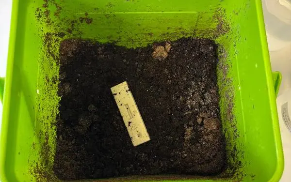 HTW Dresden develops biocompatible, compostable materials for point-of-care diagnostics