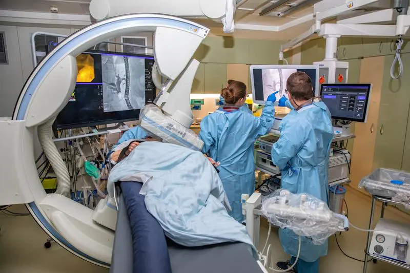 Lower Saxony funds new therapy project against incurable biliary tract disease PSC