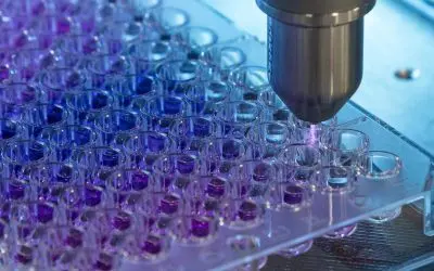 INP Greifswald: Medical gas plasma renders adenoviruses harmless in seconds