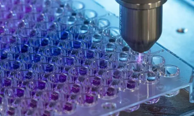 INP Greifswald: Medical gas plasma renders adenoviruses harmless in seconds