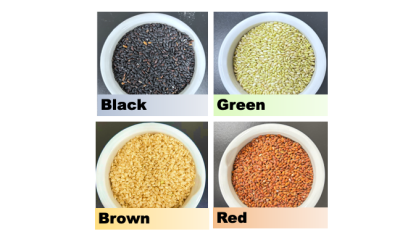 Hokkaido researchers discover health-promoting lipids in colored Japanese rice varieties