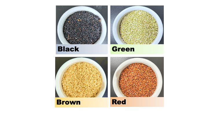 Hokkaido researchers discover health-promoting lipids in colored Japanese rice varieties