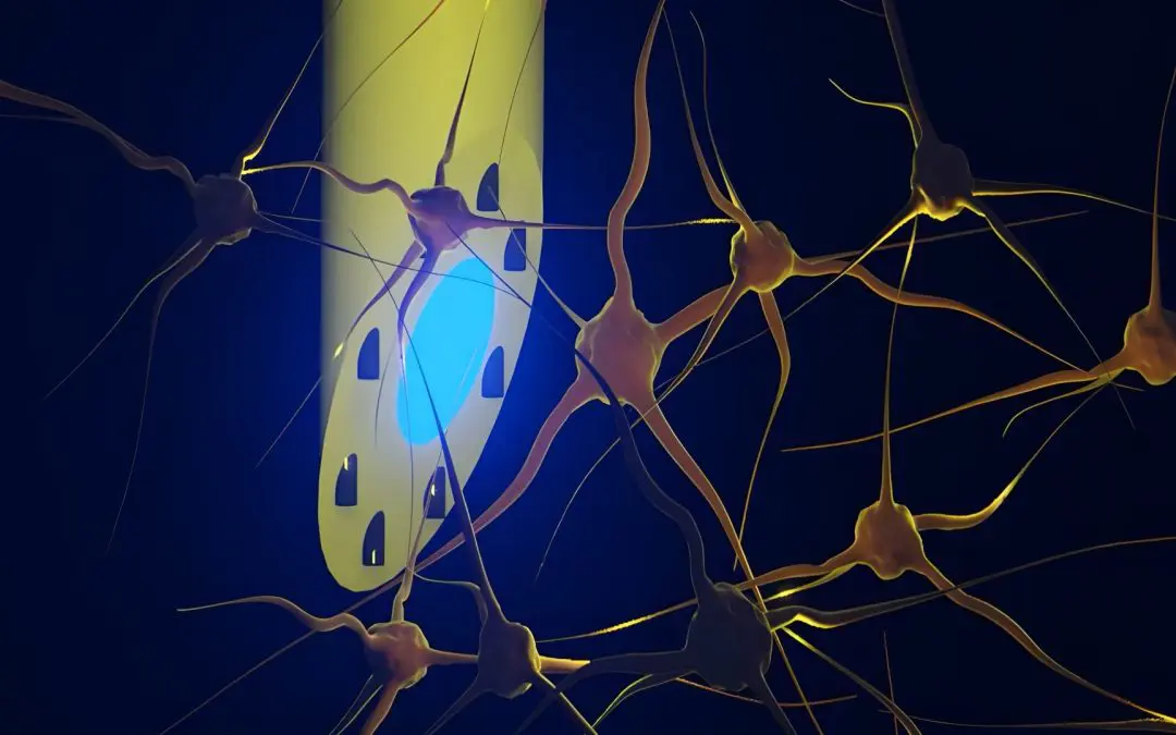 Implant supplies the brain with medication