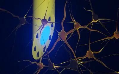 Implant supplies the brain with medication