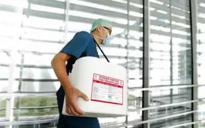 Organ donation numbers in Germany will reach highest level since 2012 in 2025