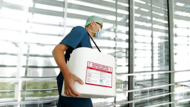 Organ donation numbers in Germany will reach highest level since 2012 in 2025