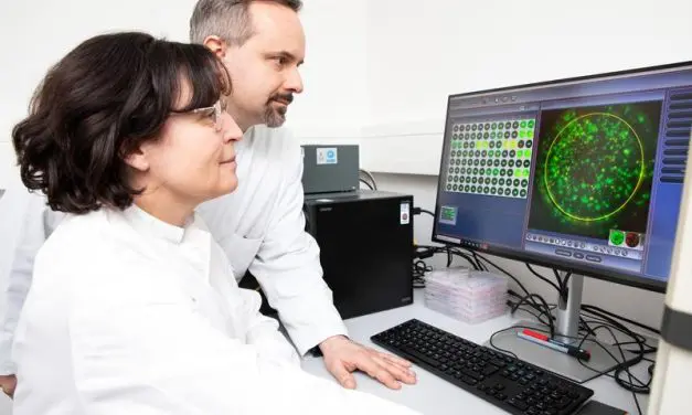 Biomarkers predict response to checkpoint inhibitors in PML