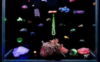 Jena celebrates 225 years of the discovery of UV radiation with an interdisciplinary symposium