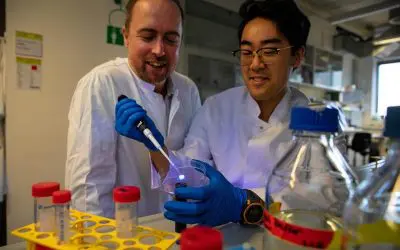 Fulbright Fellow Researches New Therapies for Chronic Wounds