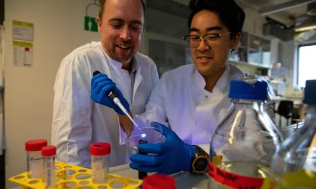 Fulbright Fellow Researches New Therapies for Chronic Wounds